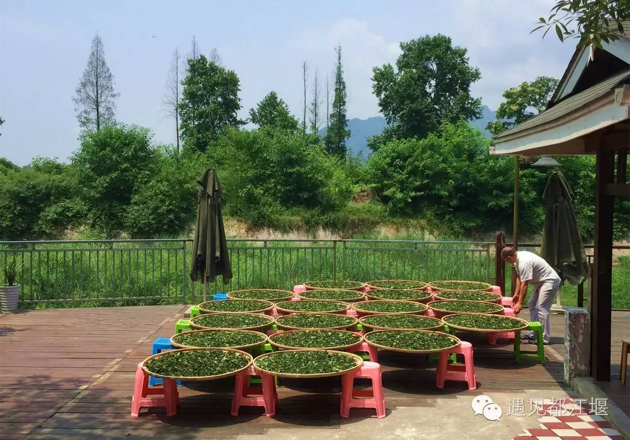 白鹭湾什么样,白鹭湾现在什么样子