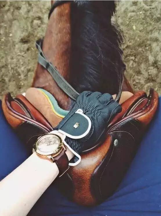 濂ヨ繍鎴樿,濂ヨ繍鎴樿2023