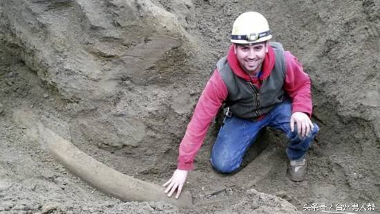 冰封数万年的猛犸象,藏传老猛犸象牙