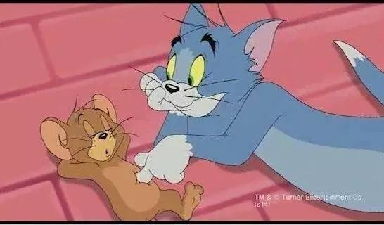 「TOP」最希望能成真的动漫猫咪TOP10 娘口三三勇夺第二