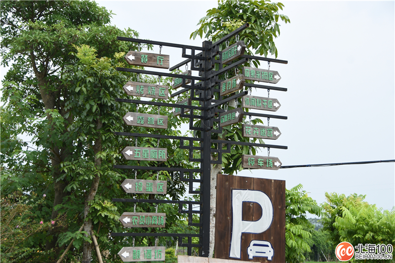 周末去哪儿玩？小编带你去合浦七里香茶庄园和石康镇“小村故事”