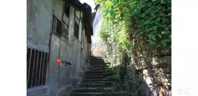 涓嬫旦鑰佽鐜板湪杩樿兘鍘诲悧,涓嬫旦鑰佽鍊煎緱鍘诲悧