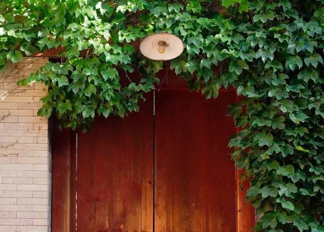 佳能4000到5000最值得入手的微单,微单相机推荐3000至4000