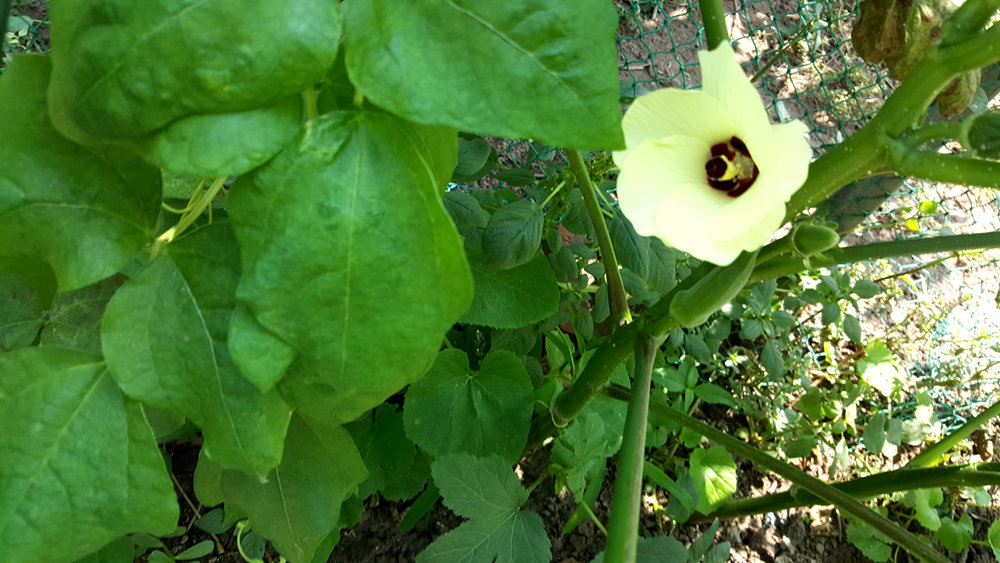 乐亭碧海渔家,乐亭碧海渔家怎么样