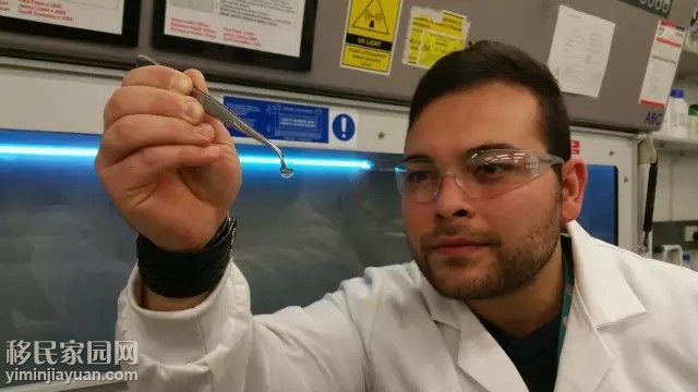 人工眼角膜最新研究进展,澳洲科学家