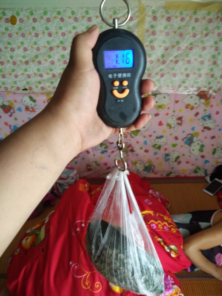 钓了一只鳖要放生吗,钓了一只野生甲鱼