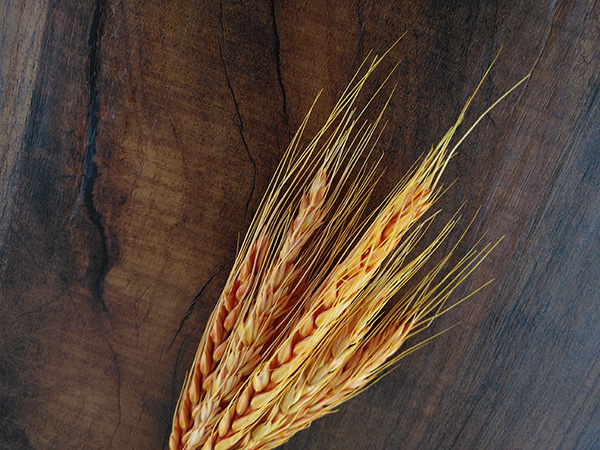 华为麦芒5吃鸡画质测评,华为麦芒拍照最好的手机