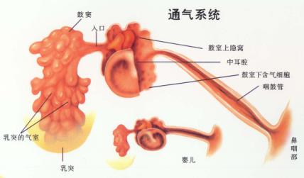 如何治疗分泌性中耳炎,分泌性中耳炎能自愈吗