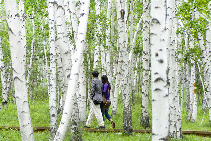 呼伦贝尔草原的风景迷人,呼伦贝尔草原旅游心情