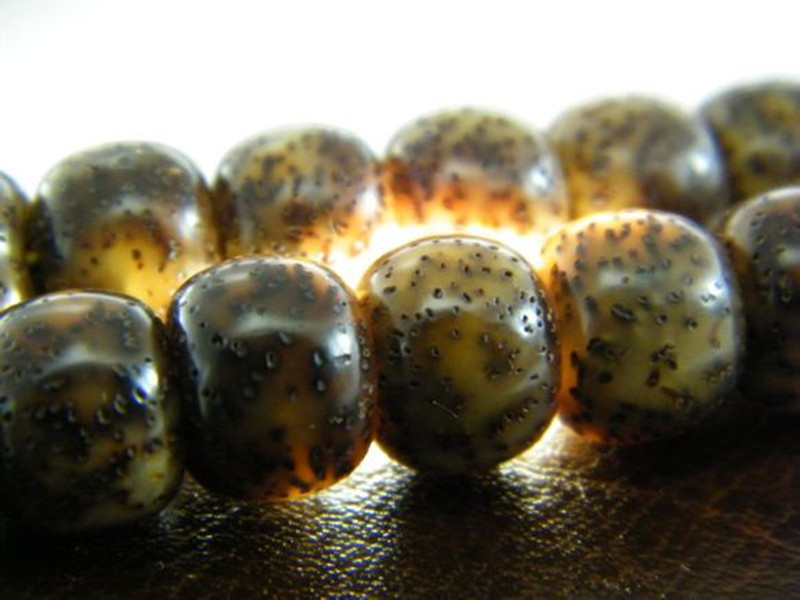 星月菩提玉化籽是什么,星月菩提玉化籽和嫩籽的区别