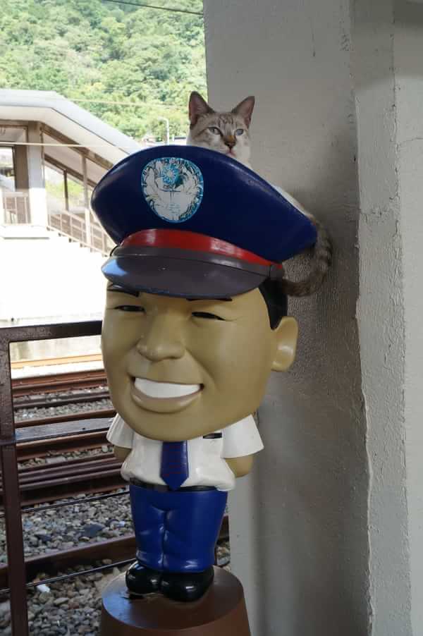 在台湾流浪14天~火星人的环岛路线！