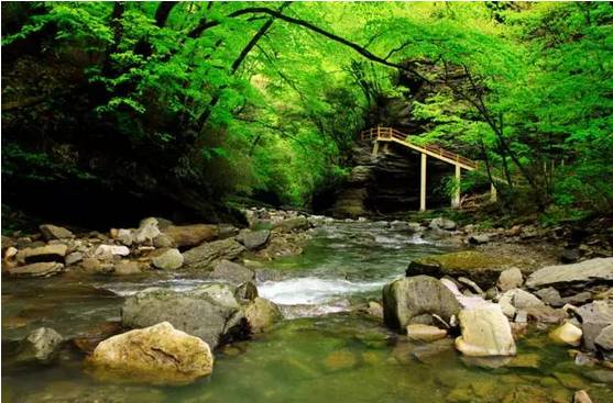 秋老虎时节到哪避暑最好,秋老虎来了要注意什么