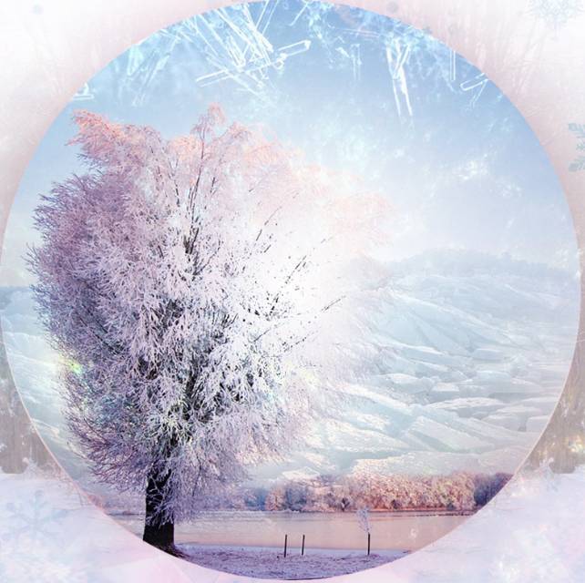 同舟奥运会高光时刻,2016年里约奥运会精彩瞬间