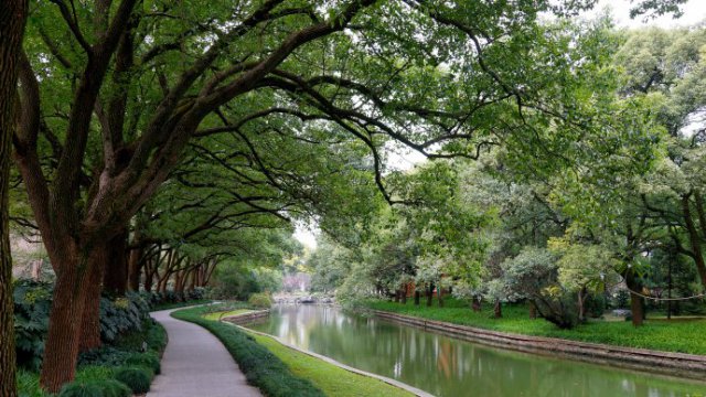 上海西郊宾馆可以参观吗,上海西郊宾馆游玩心得