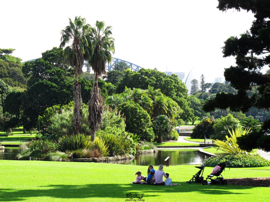 悉尼炎热,悉尼潮湿还是干燥