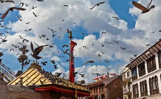 尼泊尔旅游七天攻略,尼泊尔免签签证