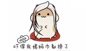 狗狗姨妈巾多久换一次,来大姨妈了多久换一次姨妈巾