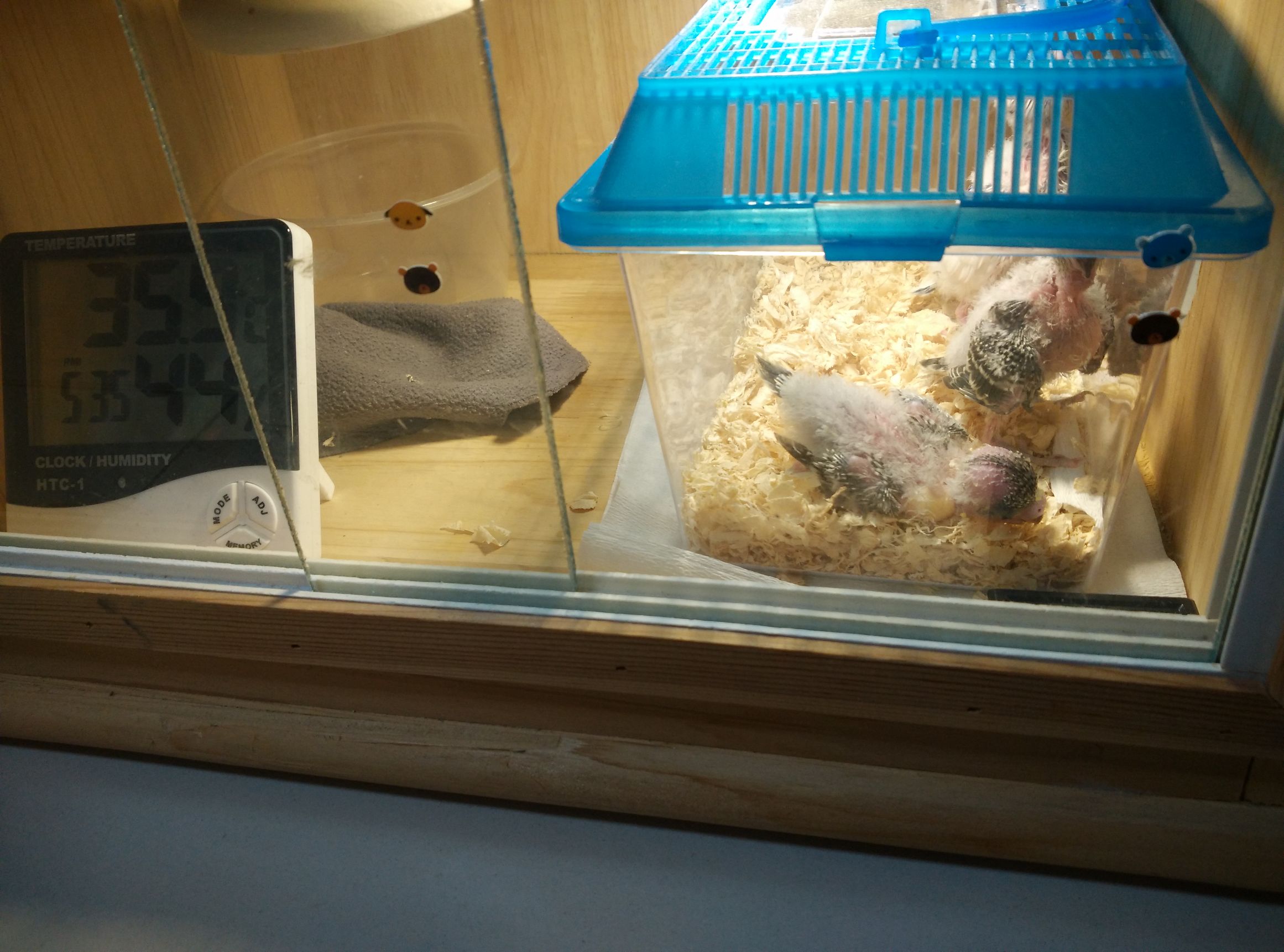 哈根笼子设计,鹦鹉笼设计图