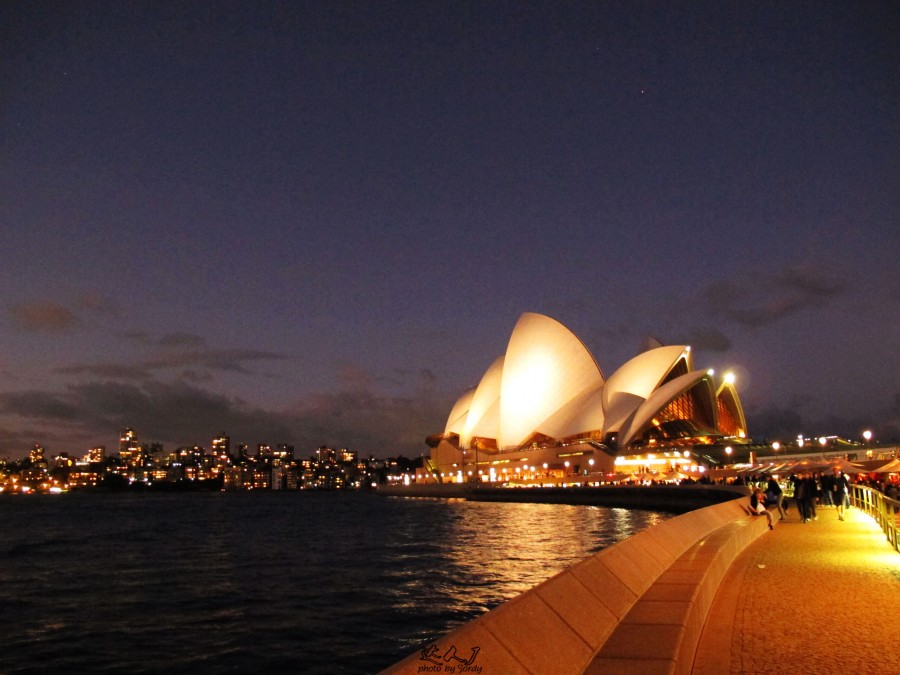 悉尼是啥味道,悉尼盐蚝