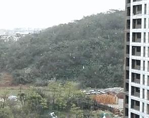 东莞第一场雪哪一年,东莞哪一年下过雪