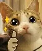 教你日常护肤中如何挑选面膜！