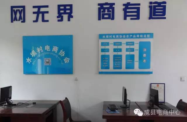 成县核桃节,乡镇电商路苏元镇创新网货包装,严控网货质量,走品牌扶贫之路