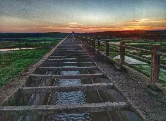 足荣村基本情况,足荣村靠近哪个村