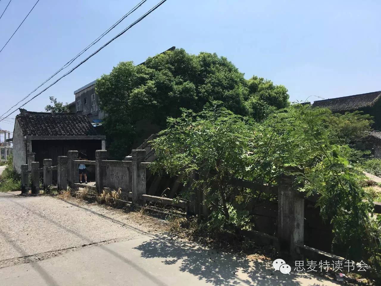 书友佳作｜隐逸在吴江世外桃源的老桥