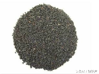 健康大问诊补肾的方法,健康补肾的方法大全