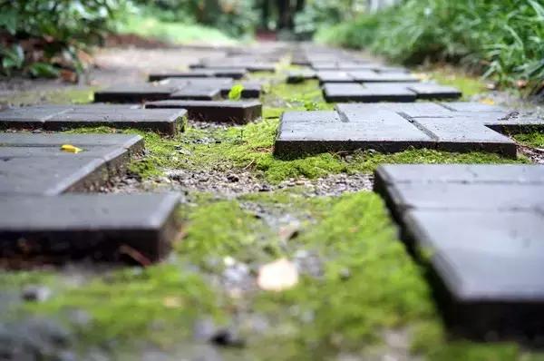 上海十大有意思的小众地方,上海五大超冷门景点却值得一去