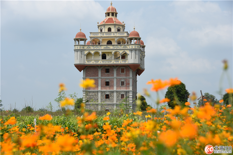 周末去哪儿玩？小编带你去合浦七里香茶庄园和石康镇“小村故事”