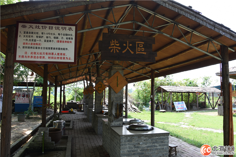 周末去哪儿玩？小编带你去合浦七里香茶庄园和石康镇“小村故事”