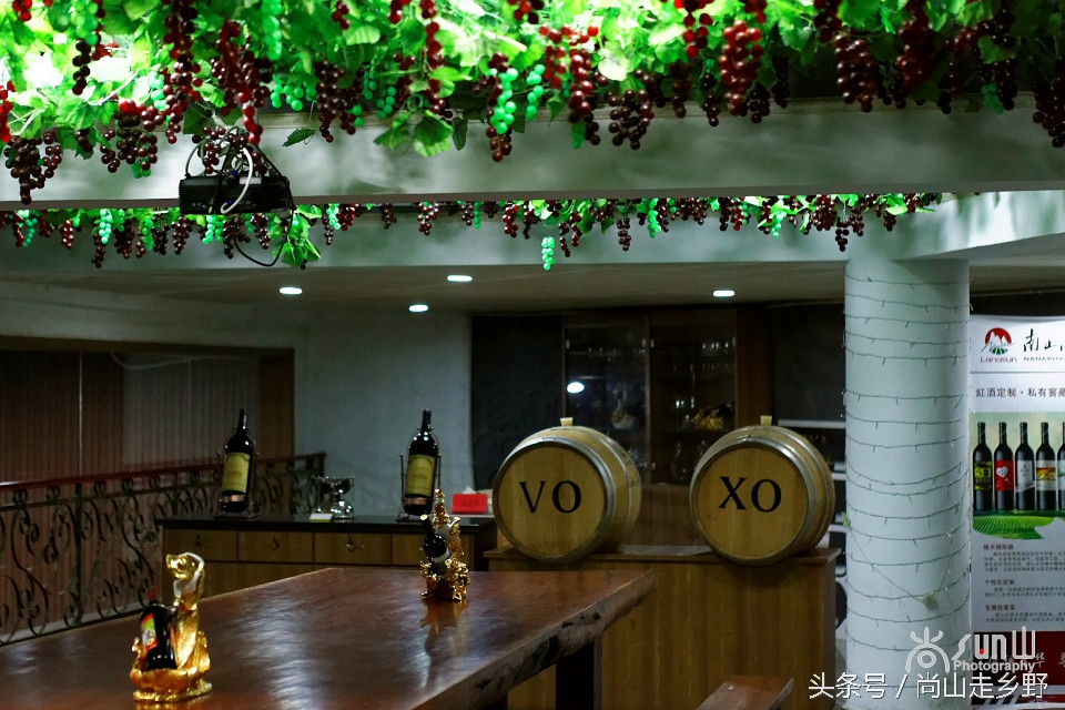 走进红酒庄园,走进葡萄庄园