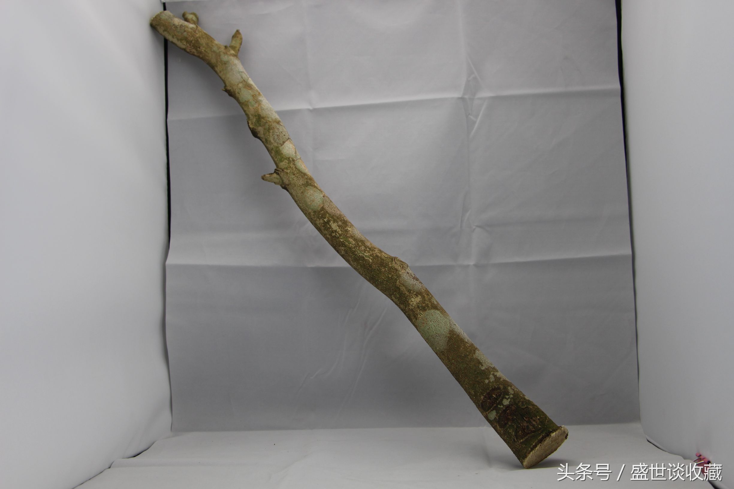 檀木和沉香木怎么区分,沉香木和檀香木的纹理图