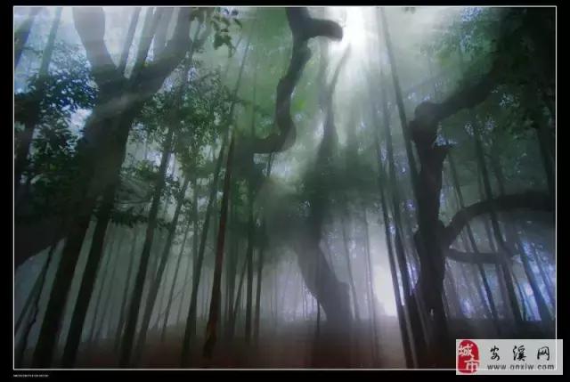 中国茶都安溪分布图,安溪中国茶都俯瞰图