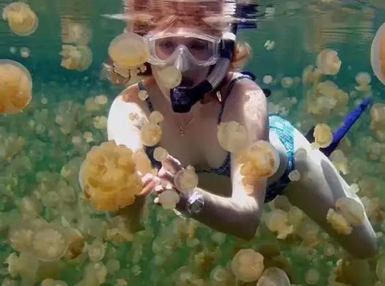 世界十大最刺激旅行,世界十大必试旅行体验