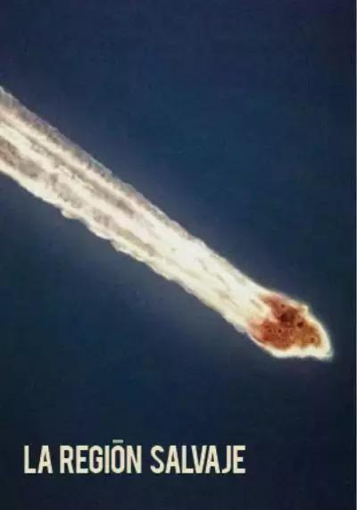 第76届威尼斯电影节获奖名单,74届威尼斯电影节片单