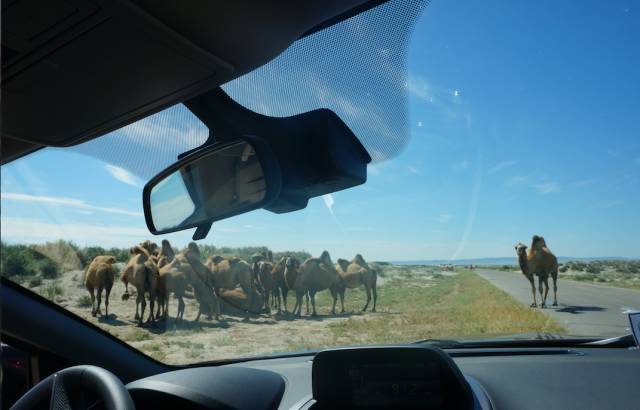 海马s5试驾越野,试驾海马s5