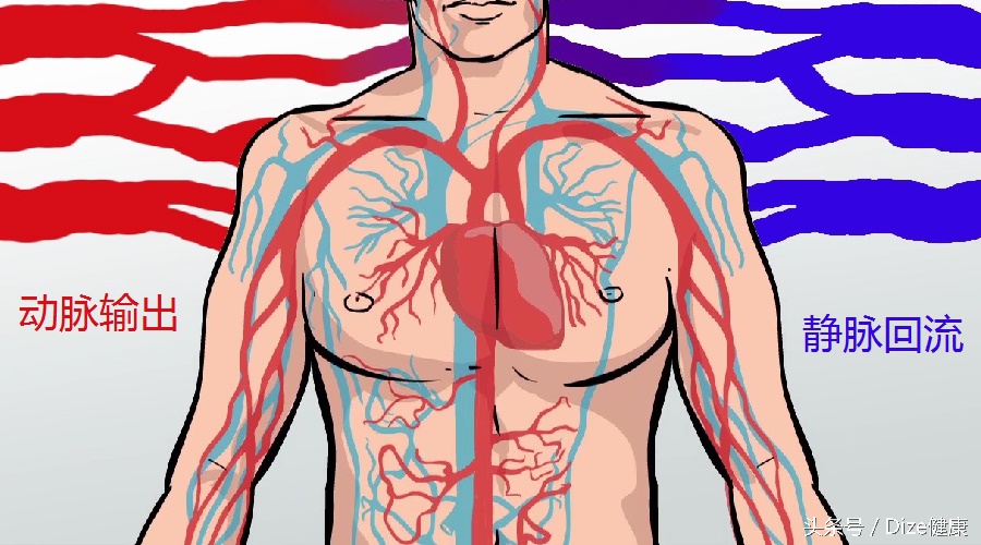 坐得久了小腿肿怎么办,静脉曲张引起的小腿肿怎么消除