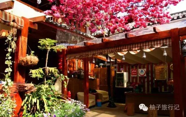 花最少的钱游云南,花最少的钱在丽江