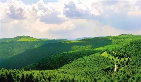 灵石县红崖峡谷攻略,灵石红崖峡谷口