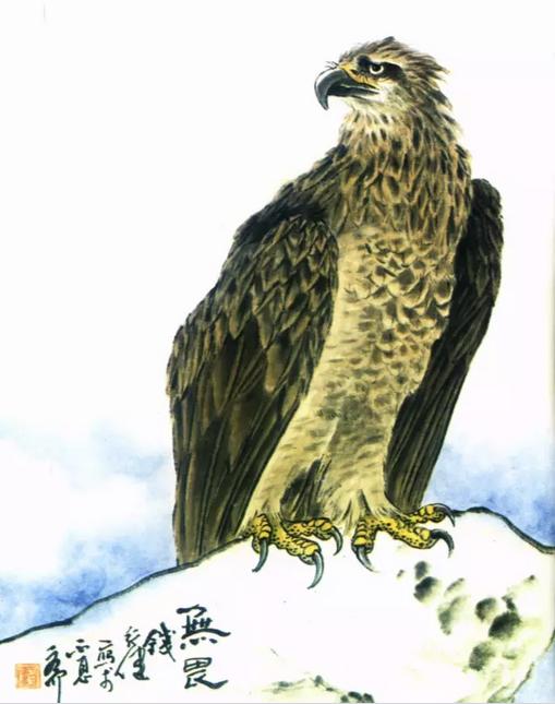 国画之鹰作品大全大图,国画大写意鹰图片大全