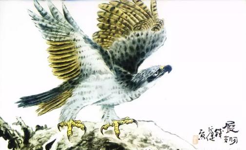 国画之鹰作品大全大图,国画大写意鹰图片大全