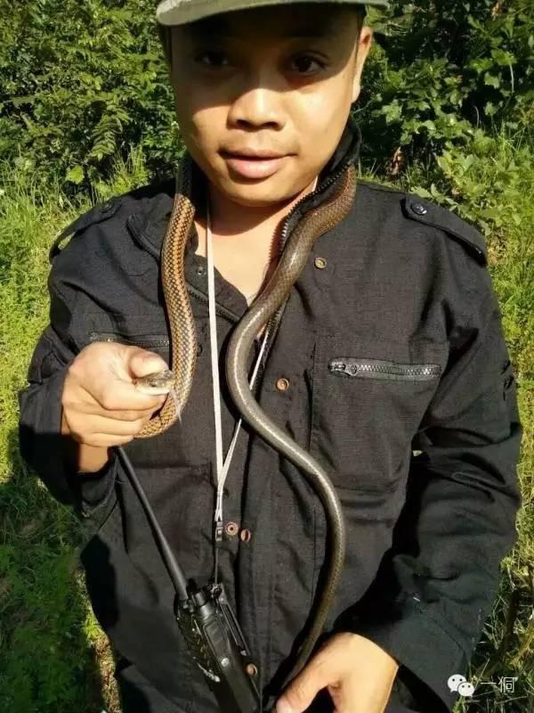 一侗给您介绍一位年轻的侗族捕猎能手——阿现大师