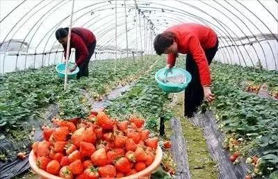 天呐!年轻情侣亲个嘴后