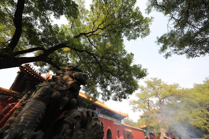 佳能eos5dmarkiv重量,佳能eos5dmarkiii和iv