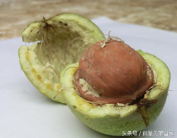 核桃的好处你知道多少,核桃是好东西还是坏的