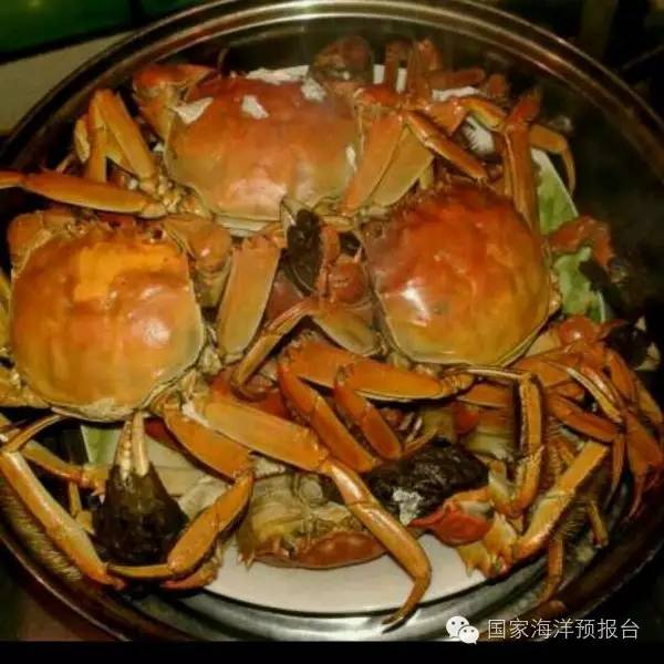 “秋风起，蟹飘香”~河蟹海蟹傻傻分不清？