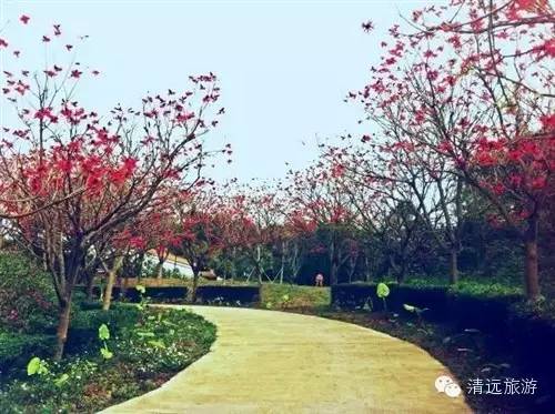 秋天到了你想去哪里旅行,佛冈适合雨天游玩的地方