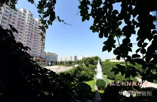 爬山虎翡翠图片大全,翡翠屏障